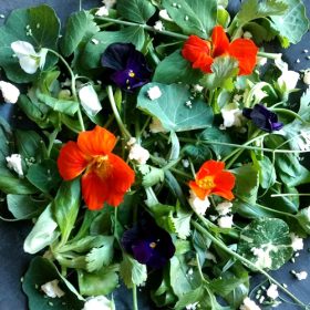 kruidensalade-met-bloemen