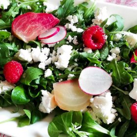 geitenkaassalade met gepofte rode biet, radijn, framboos en een frambozendressing